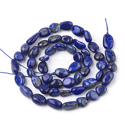 Natürlicher Lapislazuli Perlenstränge&nbsp;G-T107-05