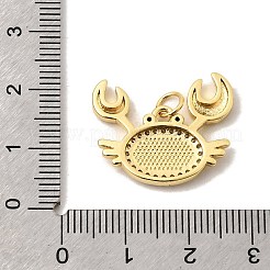 Pendentifs en laiton zircon cubique transparent&nbsp;KK-A296-20G