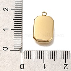 Ionenplattierung (IP) 304 Edelstahlanhänger&nbsp;STAS-P371-052G