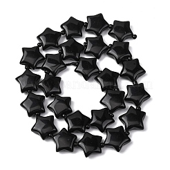 Natürlichen Obsidian Perlen Stränge&nbsp;G-K359-E13