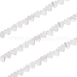 1 hebra de cuentas de concha de troquídea natural/concha de troco&nbsp;BSHE-TA0001-39