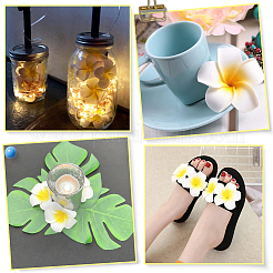 30 Stück 3 Stile Schaumstoff künstliche Frangipani-Blüte Alligator Haarspangen&nbsp;PHAR-SP0001-23A