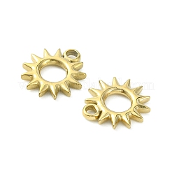 Breloques en acier inoxydable 304&nbsp;STAS-L269-058G