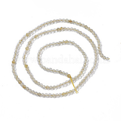 Oro naturale perle di quarzo rutilato fili&nbsp;G-F596-25B-3mm