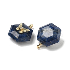 Gefärbte natürliche Lapislazuli-Anhänger mit Facettenschliff&nbsp;G-P585-01G-07