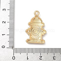 Pendentifs d'émail en alliage&nbsp;FIND-C074-01I