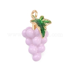 Pendentifs en émail en alliage de fruits&nbsp;ENAM-P264-02G-G04