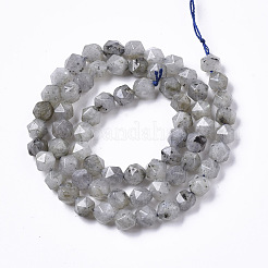 Cuentas labradorita natural hebras&nbsp;G-R465-33A