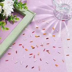 10 Stil Glasperlen&nbsp;SEED-HY0001-05A
