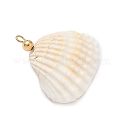Pendentifs en coquillage naturel et verre rond&nbsp;PALLOY-MZ00912-02