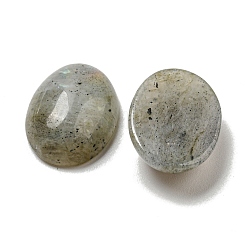 Natur Labradorit Cabochons&nbsp;G-C115-01A-17