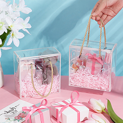 Transparente Geschenk-Trageboxen aus Haustierplastik&nbsp;CON-WH0085-61B-03