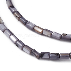 Fili di perline tinti in conchiglia naturale d'acqua dolce&nbsp;SHEL-M018-12-03