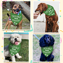 Hundehalstuch aus Baumwolle&nbsp;AJEW-WH0503-041