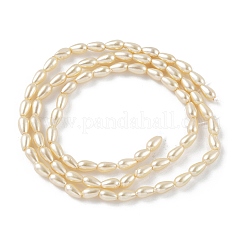 Perles de perles de coquillages polies&nbsp;BSHE-L042-A01-01