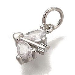Porte micro ouvrent pendentifs zircone cubique en laiton de placage&nbsp;KK-I720-43P