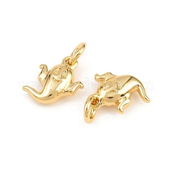 Dijes de latón de Halloween&nbsp;KK-H292-03G