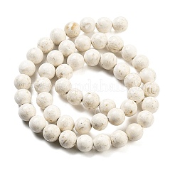 Perline fossili naturale fili&nbsp;G-H026-02C