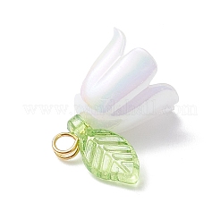 5 Stück transparente Acryl-Anhänger&nbsp;PALLOY-JF04703-01
