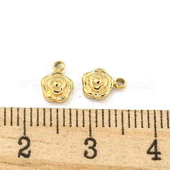 Ionenplattierung (IP) 304 Edelstahl-Anhänger&nbsp;STAS-A096-01G