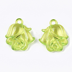 Pendentifs en acrylique transparent &nbsp;TACR-S133-081