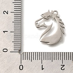 201 Edelstahlanhänger&nbsp;STAS-R136-19P