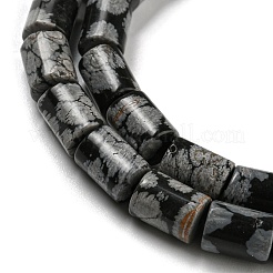 Natur Schneeflocken-Obsidian Steinperlen Stränge&nbsp;G-Q1008-A02