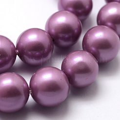 Runde Klasse a Muscheln Perle Stränge&nbsp;LS-BSHE-M027-6mm-11