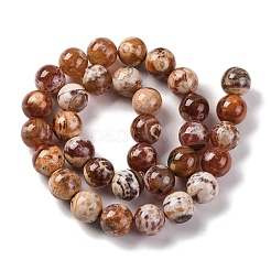 Naturbrand Knistern Achat Perlen Stränge&nbsp;G-G163-A01-04