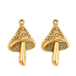 Pendentifs en alliage de style tibétain sans plomb et sans cadmium&nbsp;K090X031