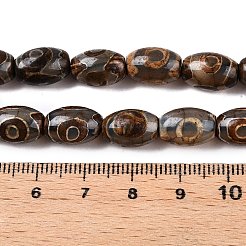 Natürliche tibetische Achat 3-Auge Perlenstränge&nbsp;G-T138-195A