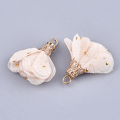 Eisen Anhänger & Charms&nbsp;FIND-T033-05R