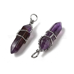 Natürliche Amethyst-Doppelend-Spitzen-Anhänger&nbsp;G-J062-02P