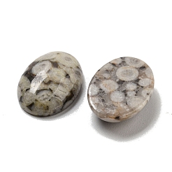Natürliche Maifanit-Cabochons&nbsp;G-C115-01A-30