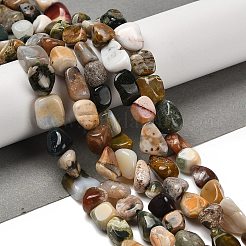 Natur Ozean Jaspis Perlen Stränge&nbsp;G-P497-01E-90B