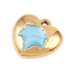 Pendentifs en acier inoxydable 304 émaillés&nbsp;STAS-P430-03A-G01