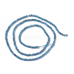 Natürliche Apatit Perlen Stränge&nbsp;G-F596-29-2mm