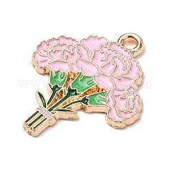 Pendentifs d'émail en alliage&nbsp;ENAM-I089-02G-07