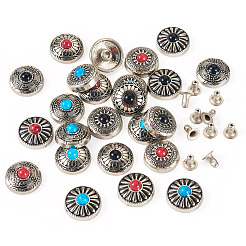 24 Stück 12 Stile Zinklegierung & synthetische türkisfarbene Knöpfe&nbsp;FIND-SW0001-35