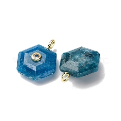 Natürliche Apatit Pendants&nbsp;G-P588-02G-09