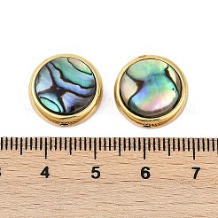 Paua Shell naturale perle&nbsp;SSHEL-M024-03A-G