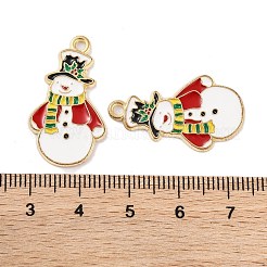 Anhänger aus weihnachtlicher Legierung mit Rack-Beschichtung&nbsp;FIND-M020-04G-07