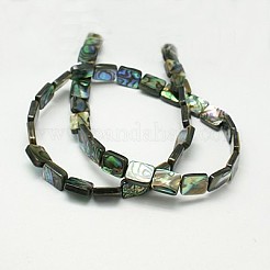 Natürliche Abalone Muschel / Paua Muschel Perlen Stränge&nbsp;SSHEL-G003-9-8x12x3mm
