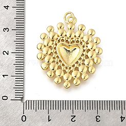 Messing Anhänger & Charms&nbsp;KK-F899-14G
