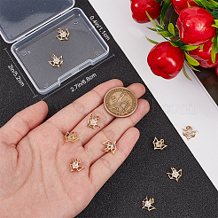 10 ciondoli in ottone con micro pavé di zirconi cubici&nbsp;KK-BBC0015-42
