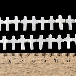 Natürliche Trochidschale / Trochusschalenperlenstränge&nbsp;SH-CBA2978-15