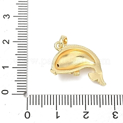 Ottone micro spianare pendenti zirconi&nbsp;KK-K417-13B-G
