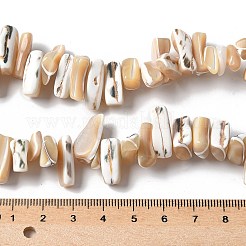 Brins de perles de trocas naturelles teintes&nbsp;SSHEL-C013-09K