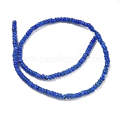 Chapelets de perles de coquille d'eau douce naturelle teinte&nbsp;X1-BSHE-G039-07J