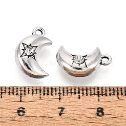 Tibetischen Stil Legierungs Anhänger & Charms&nbsp;TIBE-N013-22AS